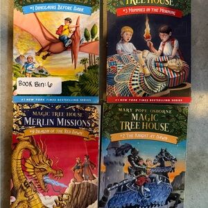 Magic Tree House set of 4 books